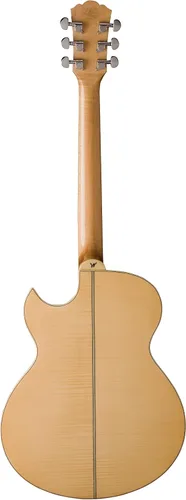 Vista 2 de Washburn Guitarra eléctrica acústica Festival EA20 (EA20-A)