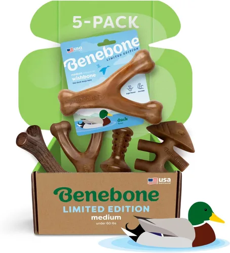 Vista 8 de Benebone - Paquete de 2 juguetes masticables duraderos para perros, diseño Maplestick/Zaggler, tocino real, madera de arce real, fabricados