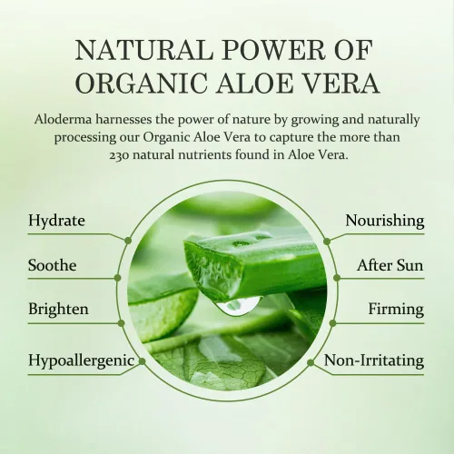 Vista 4 de Aloderma Jabón facial iluminador de piel con 77% aloe vera orgánico, limpiador diario iluminador natural con regaliz para piel radiante, limpiador