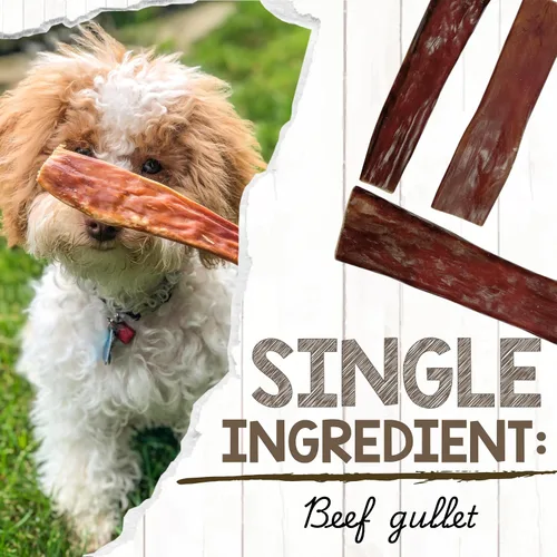 Vista 3 de Nature Gnaws Beef Gullet - Golosinas masticables para perros pequeños de 4 a 5 pulgadas (20 unidades) - Golosinas masticables de carne seca natural