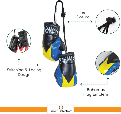 Vista 4 de SandT Collection Guantes de boxeo pequeños con bandera del país - Guantes de boxeo para colgar