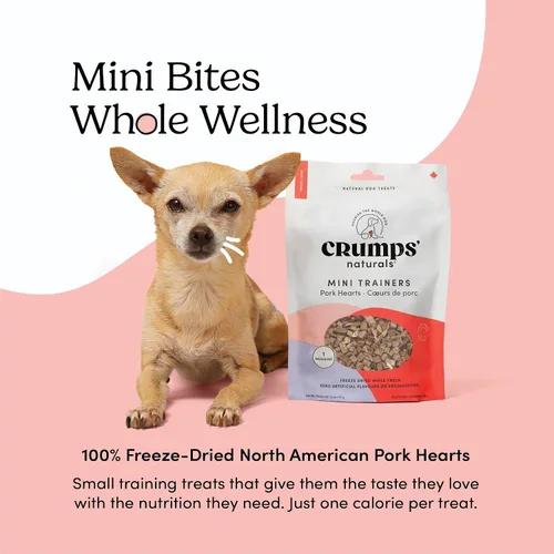 Vista 3 de CRUMPS NATURALS Mini Trainers - Corazones de cerdo liofilizados, 1.9 onzas, golosinas para perros
