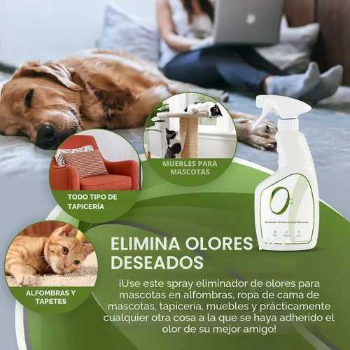 Vista 3 de zero Odor Pet Odor Eliminator, Trigger aerosol, 16 onzas Sin enzimas, eliminador de olores de orina para camas de mascotas, áreas de arena