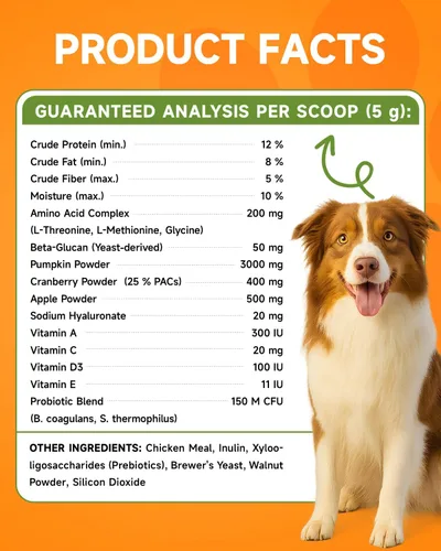 Vista 8 de Calabaza para perros – Polvo de calabaza orgánica para perros – Apoyo diario para la digestión, diarrea, estreñimiento, malestar estomacal