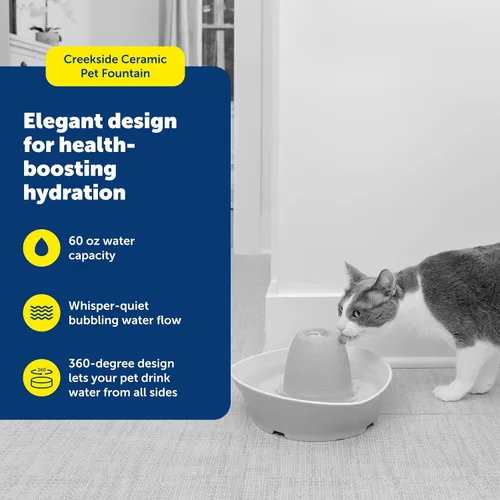 Vista 2 de PetSafe Fuente de cerámica para mascotas, para gatos y perros pequeños, capacidad de agua de 60 onzas, flujo de agua silencioso, ideal para mascotas