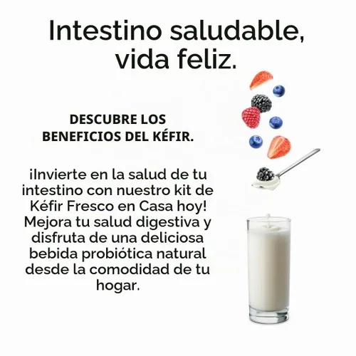 Vista 6 de NatuDelight - Granos de kéfir de leche viva, cultivo básico tradicional (0.53 oz/1 cucharada)
