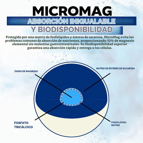 Vista 5 de Nootropics Depot MicroMag - Cápsulas de magnesio 625 mg 90 unidades Contiene 200 mg de magnesio elemental