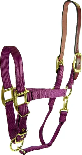 Vista 15 de Hamilton Cabestro ajustable de nailon de 1 pulgada con cabeza de cuero y broche de garganta, grande, negro
