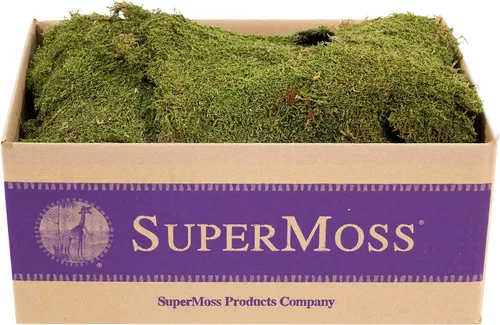 Vista 11 de Super Moss (21508) Panel de musgo conservado, fresco, color verde. De 20 a 24 pies cuadrados y 3,5 libras.