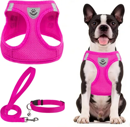 Vista 55 de PUPTECK - Arnés, collar y correa ajustables, sin tirones, para perros pequeños y medianos, cachorros y gatos, pechera reflectante acolchada de malla