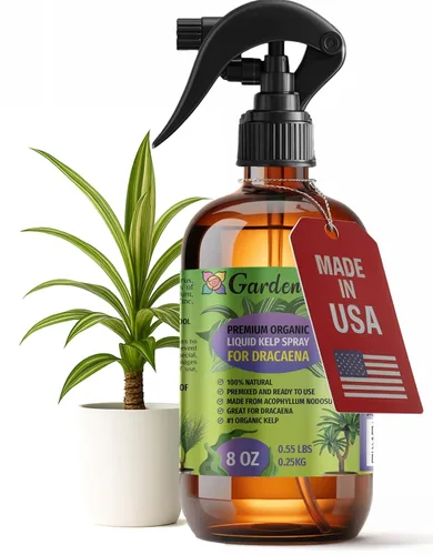 Vista 26 de GARDENERA Spray orgánico profesional de algas marinas para plantas de orquídeas – 8 oz – Rocío fertilizante de algas marinas y algas marinas
