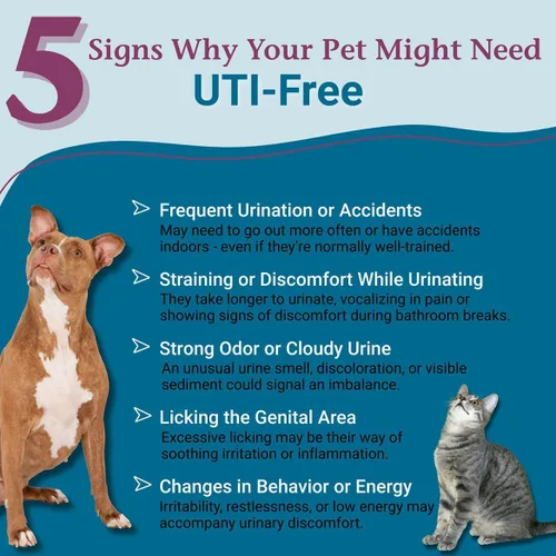 Vista 2 de PetAlive Gránulos libres de UTI Tratamiento natural de infecciones urinarias, reduce el goteo y los accidentes, la incontinencia, alivia