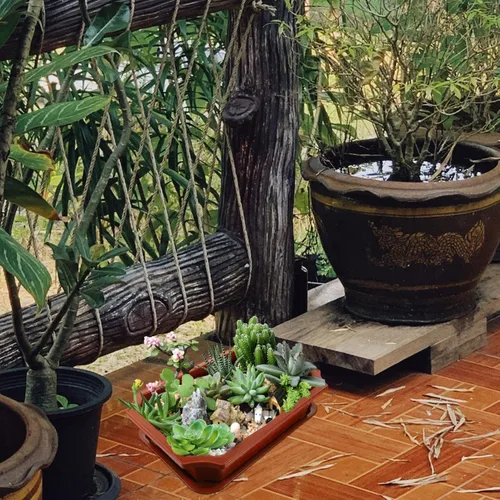 Vista 3 de GANAZONO Maceta colgante para bonsái, maceta de plástico para jardín, guardería, macetas de árbol bonsái, macetas de cultivo para suculentas