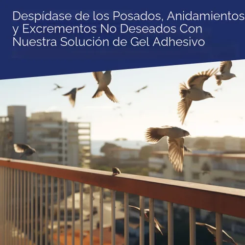 Vista 7 de Bird-X Gel repelente de aves, adhesivo y transparente, duradero y fácil de usar, cubre 10 pies lineales, 10 fl. oz., paquete de 1