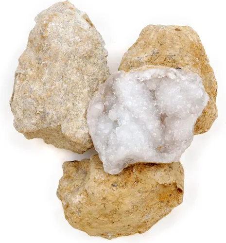 Vista 6 de DANCING BEAR 25 Rompe tus propias geodas, (Mediana 1-1.5") 90% hueca, ¡Abre y descubre asombrosos cristales sorpresa dentro! Información educativa e