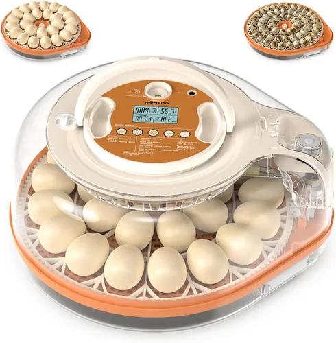 Vista 11 de Incubadoras para incubar huevos con asistente de voz inteligente, incubadora de 26 huevos con girador automático de huevos y control de humedad