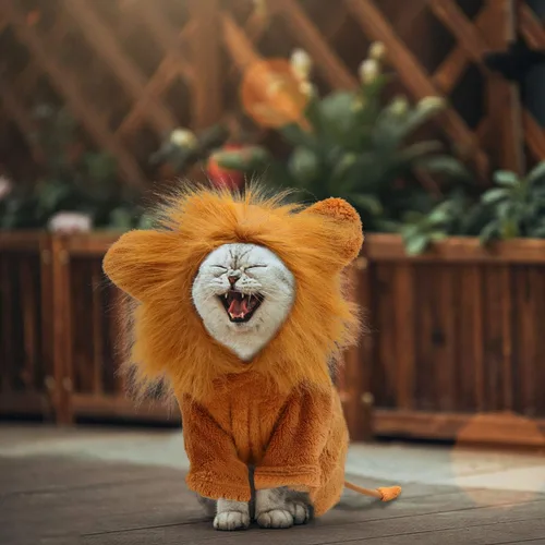 Vista 6 de Rypet Disfraz de león para perro, ropa para mascotas para fiesta de Halloween, simulación, trajes de mascotas de león para cosplay, ropa