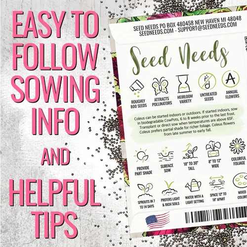 Vista 4 de Seed Needs - Semillas de cretonas, mezcla arcoíris (Coleus blumei), 2 paquetes de 800 semillas cada uno