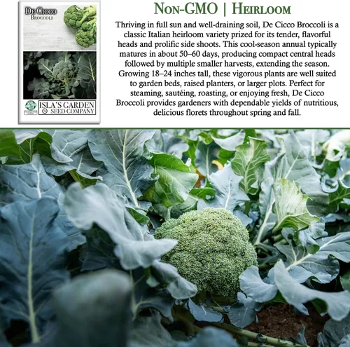Vista 3 de De Cicco - Semillas de brócoli (Brassica oleracea), más de 300 semillas sin OMG y reliquias de Isla's Garden Seeds, reliquia italiana para cosechas