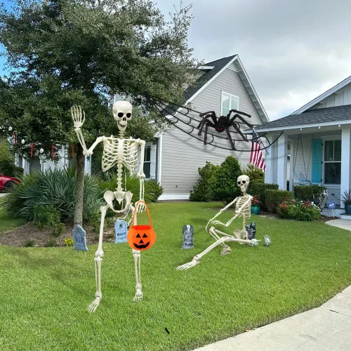 Vista 4 de CAMIRUS Esqueleto de Halloween de 5.4 pies/65.0 in, esqueleto de tamaño real con bolsa de calabaza de araña peluda, huesos humanos de cuerpo