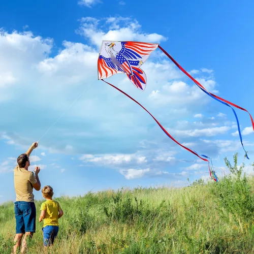 Vista 3 de Xida Large Patriotic Eagle Kites for Adults and Kids Ages 4-12 Easy to Fly Águila Libertad