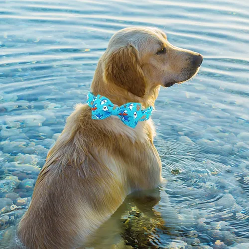 Vista 6 de Collar para perro, con estampado de tiburón, collar para cachorro, collar para mascotas, collar de lazo para perros, suave, duradero, ajustable