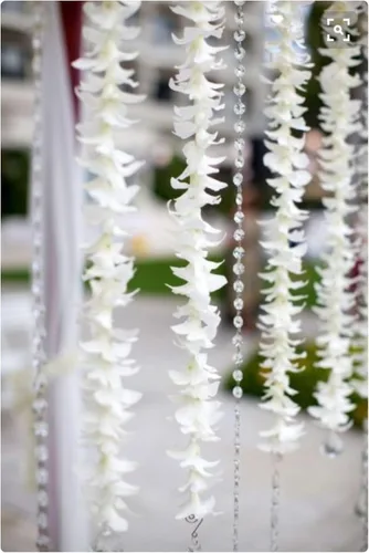 Vista 4 de Flores frescas cortadas de Miami OrchidClub USA por Sunne Tropical DIY Lei, decoración de alimentos y bebidas (50 blanco)