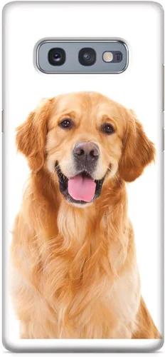 Vista 25 de Inspired Cases - Compatible con iPhone Xs Max - Funda protectora con textura 3D para Apple iPhone Xs Max - Golden Retriever