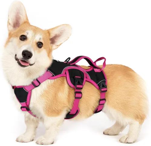Vista 32 de rabbitgoo - Arnés para perros a prueba de fugas, arnés para mascotas acolchado y suave de cuerpo completo, arnés reflectante ajustable sin tirones