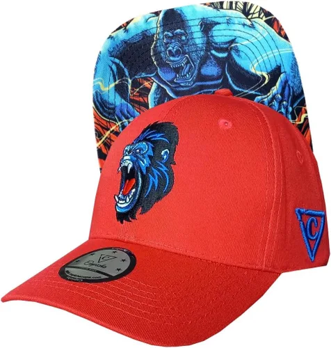 Vista 206 de Capiche - Gorra de visera plana de serie especial, talla única, unisex, hombre, más de 99 diseños