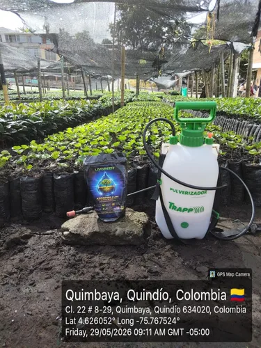 Vista 7 de Azospirillum Super Blend, totalmente natural, bio fertilizante, aumenta el crecimiento de las plantas y la masa de raíces, perfecta para nuevas