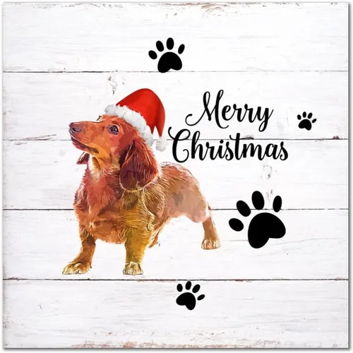 Vista 9 de Letrero de madera para perro con sombrero rojo, placa de pared rústica con reglas para mascotas, arte de pared colgante de granja, placa