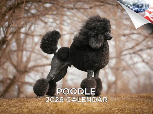 Vista 195 de Calendario de Lebrel Afgano 2025 2026, calendario mensual de pared de raza canina, 12" x 18" abierto, papel grueso sin traspaso, ideal para regalo