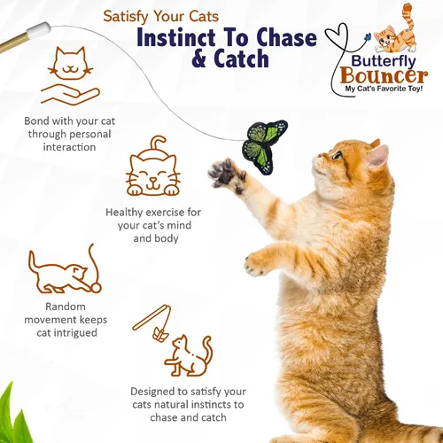 Vista 2 de Butterfly Bouncer - Mariposa en alambre rebota para imitar el vuelo de una mariposa real - Juguete interactivo para gatos - Gatos/gatitos juegan