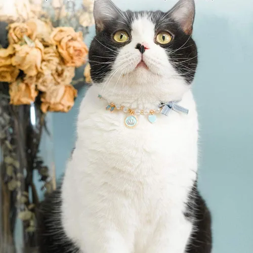 Vista 5 de Collar de moda para mascotas, accesorios de collar de corona de perlas de gato, adornos para peluche - collar de joyería