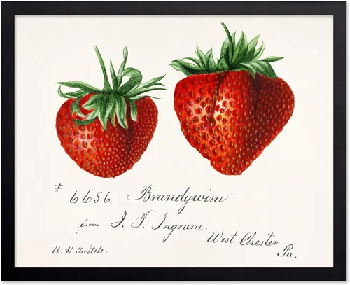 Vista 83 de Poster Master Póster vintage de fresas, impresión retro de fresas, arte de alimentos y frutas, regalo para veganos, vegetarianos, amantes