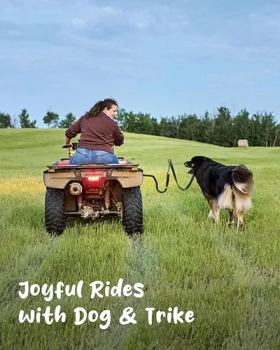 Vista 9 de Correa de bicicleta para perros – Accesorio de bicicleta manos libres para perros, absorción de golpes segura, longitud ajustable, fácil de instalar