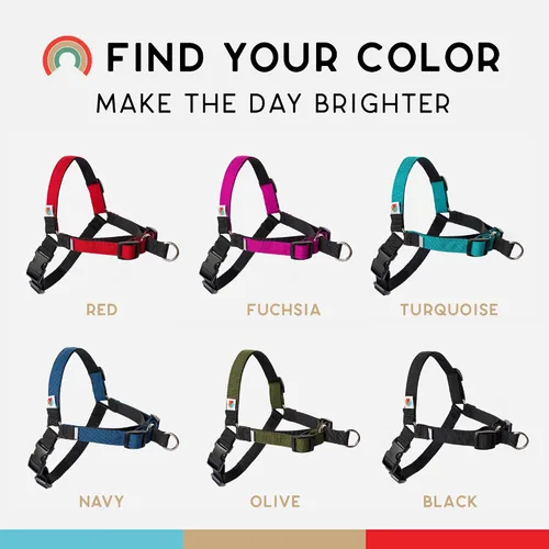 Vista 7 de Wildebeest Arnés sin tirones para perro, cómodos arneses de entrenamiento, diseño eficaz de arnés sin tirones, ideal para perros pequeños