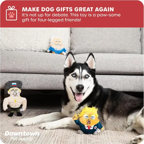 Vista 6 de Downtown Pet Supply Sleepy Joe - Juguete político para perros, parodia política novedosa, juguete masticable para perros con chirriador, diseño