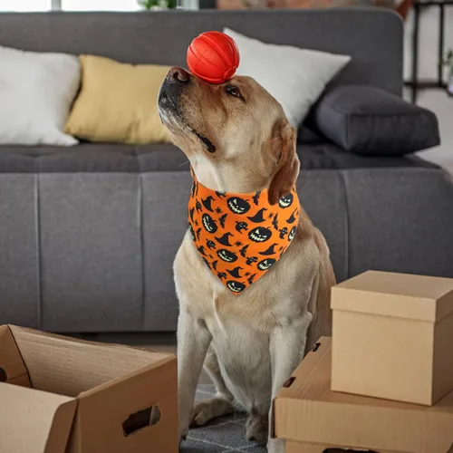 Vista 3 de Pañuelo de Halloween para perro - 1 paquete, bufanda reversible triangular premium duradera para perro, babero ajustable para cachorro para niña