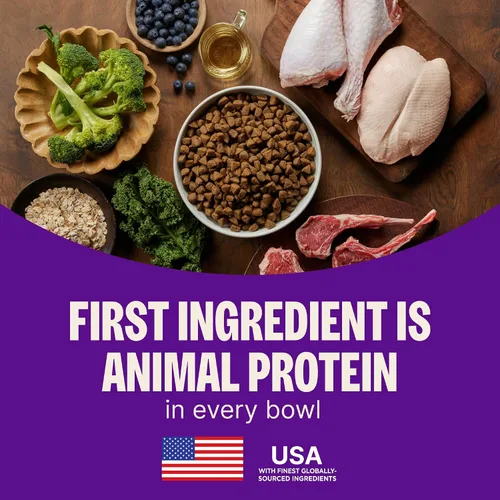 Vista 3 de Wellness CORE Alimento seco para perros, sin granos, alto en proteínas, natural, receta de pato silvestre, cordero, jabalí y conejo