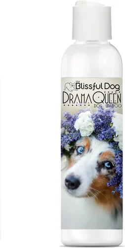 Vista 30 de The Blissful Dog Champú Belgian Malinois Drama Queen, 4 oz.