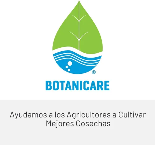 Vista 10 de Botanicare CAL-MAG Plus suplemento de planta fórmula 2-0-0, 1 cuarto, Sencillo, 1 Cuarto de galón