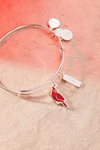 Vista 2 de Alex and Ani Pulsera Brazalete con Dije Dúo Cardinal 'Strength