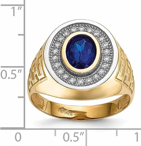 Vista 4 de Anillo de oro amarillo de 14 quilates con circonita cúbica ovalada azul para hombre tamaño 1000 joyería fina para papá hombres regalos para él