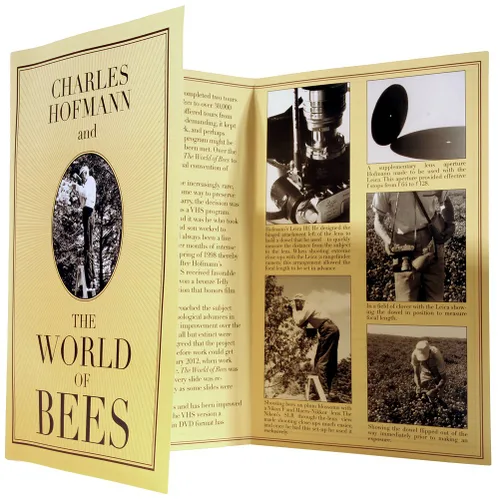 Vista 3 de The World of Bees - A Video About Honey Bees That is Charming, Educational, Entertaining and Fascinating