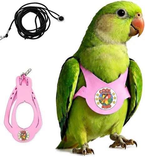 Vista 22 de Juego de arnés ajustable y correa para pájaros pequeños, apto para periquitos, conures, cacatúas, mejillas verdes, loros cuáqueros (verde, XS) 6350-6