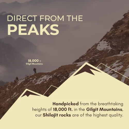 Vista 5 de Leaftouch - Auténtica resina Shilajit de grado dorado, resina Shilajit pura del Himalaya, orgánica y de alta potencia, más de 85 minerales de traza