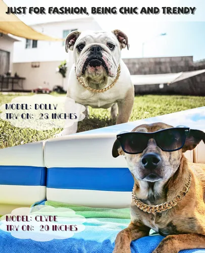 Vista 3 de Collar de perro con cadena dorada de 3/4 de ancho, collar de perro de eslabones cubanos de moda, lindo collar de mascota para perros pequeños