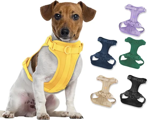 Vista 20 de Wisedog Arnés Ligero Sin Tirones para Perro: Arnés de Chaleco de Malla Transpirable Ajustable para Mascotas con Cojín Suave y Cómodo, para Perros